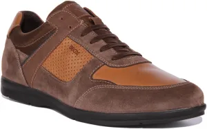 Geox U Adrien A In Brown For Men